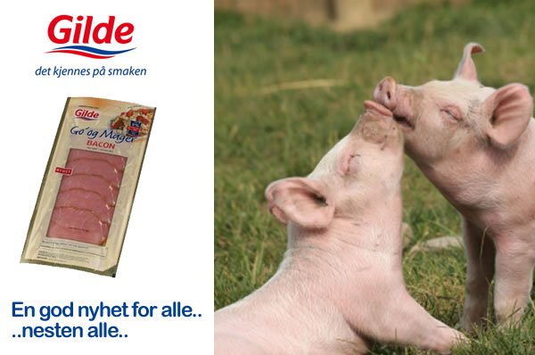 baconGilde baconGilde