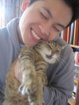 Angry pussy
